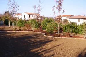 Manutenzione giardini udine