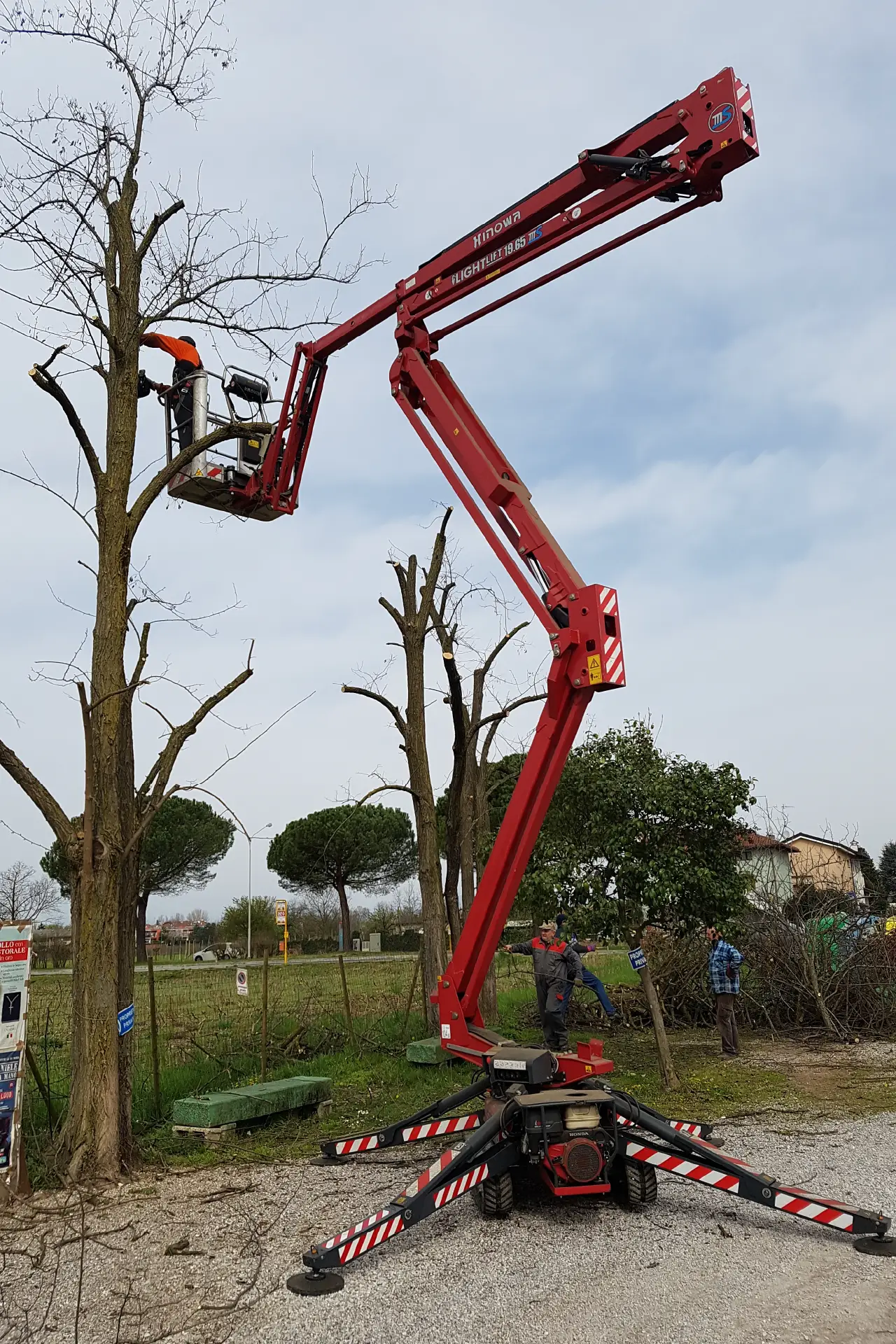 abbattimento alberi udine