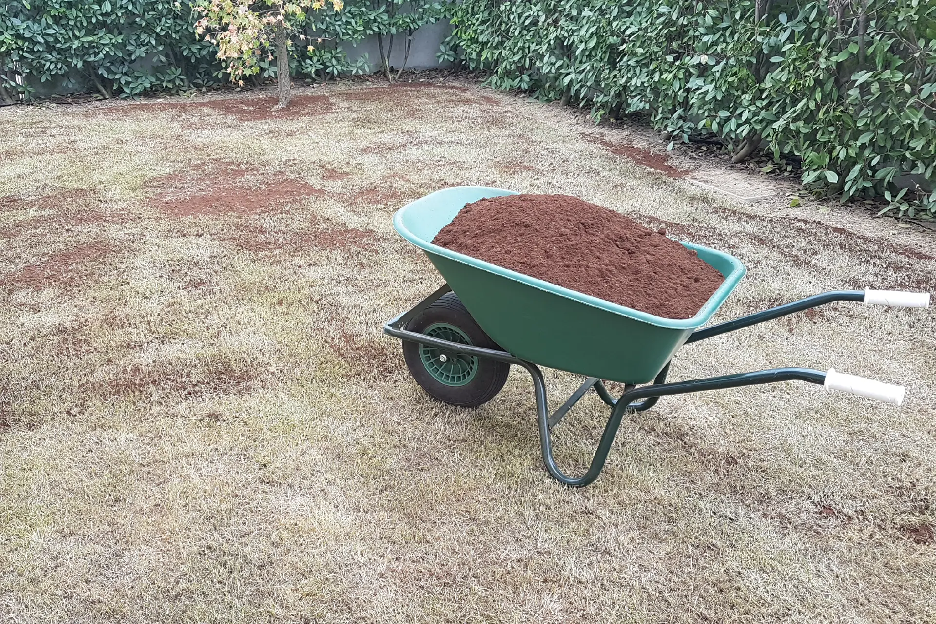 Manutenzione giardini udine