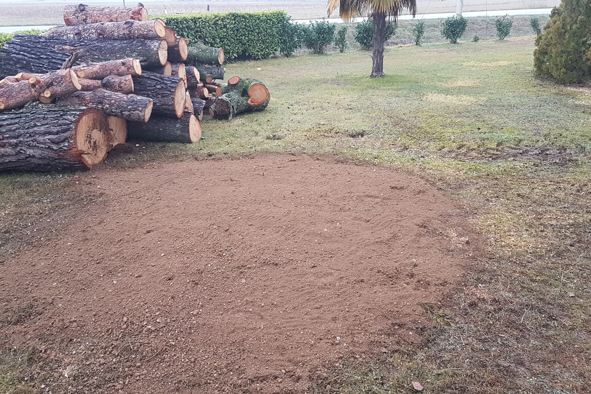 Estirpazione ceppaie